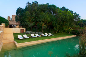 Pool and lower terrace